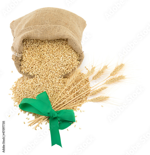 Photo: Wheat ears and sack of wheat grains isolated on white Wheat ears and sack of wheat grains isolated on white