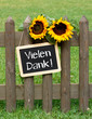 Vielen Dank !