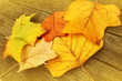 Herbstlaub...