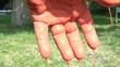 Hand Dripping Paint in Sun Abstract