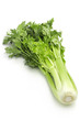 green celery