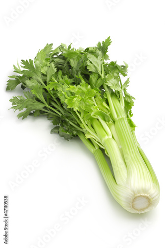 Photo: green celery green celery