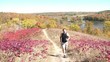 Jogging Uphill in Fall Colors