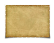 old photo isolated on a white background
