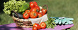 panoramic vegetables