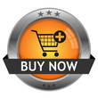 Vector Button Buy Now