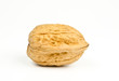 walnut sideview