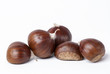 castagne