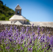 Foto: Abbaye de Sénanque with lavender field, Provence, France Abbaye de Sénanque with lavender field, Provence, France