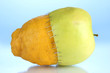Genetically modified fruits on blue background