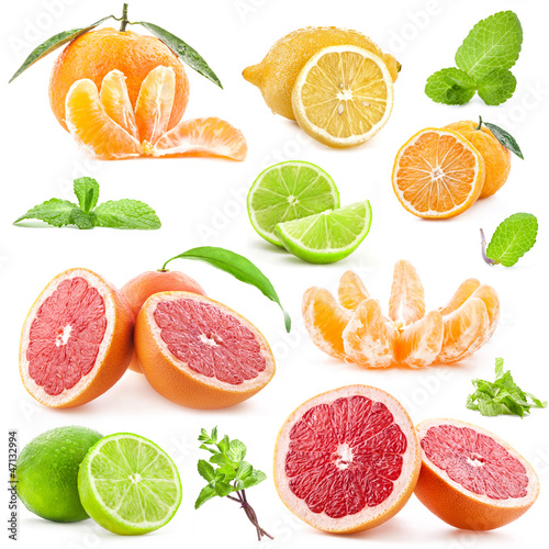 Photo: Collection of citrus with mint isolated on white background Collection of citrus with mint isolated on white background