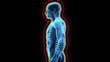 Immune system defence, body loop rotation on black background