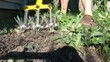 Metal Spikes Rolling in Garden