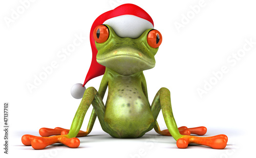 Illustration: Christmas frog Christmas frog