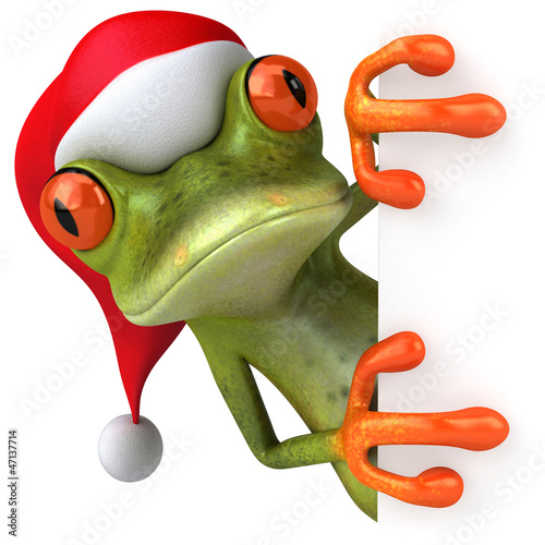 Illustration: Christmas frog Christmas frog