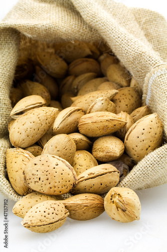 Photo: mandorle mandorle