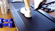 fitness training