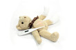 ours en peluche