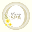 Luxury Spa Background Design