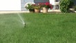 Sprinkler Watering Green Grass