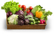 basket of fresh vegetables