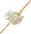 Word cloud for Agile software development