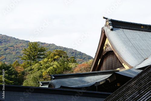 Photo: 日本美 日本美