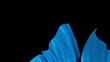 blue cloth unveil background