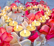 Lichterherz mit Rosenblüten-Blättern