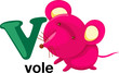 Vector: Animal alphabet letter - V Animal alphabet letter - V