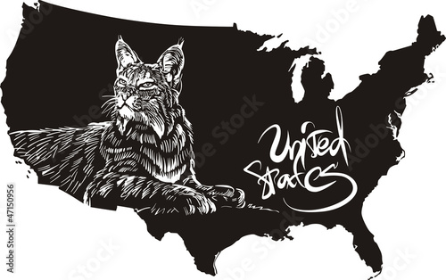 Vector: Bobcat and U.S. outline map Bobcat and U.S. outline map