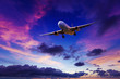 Plane in a sunset sky