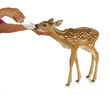 hand raising fawn