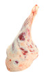 Photo: Lamb meat. Healthy food - source of proteins. Lamb meat. Healthy food - source of proteins.