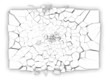 Broken plate