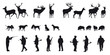 Motive hunting of animals and landscapes