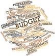 Word cloud for Budget