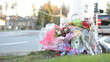 Roadside Memorial Marker
