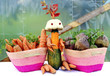 Organic Vegetables