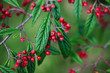 Herbstfarben