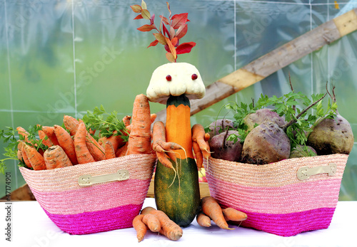 Photo: Organic Vegetables Organic Vegetables