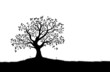 Vector: Tree Silhouette, Black and White Vector Shape Tree Silhouette, Black and White Vector Shape