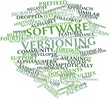 Word cloud for Software versioning