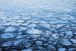 Floating plates of ice