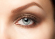 Woman eye with makeup