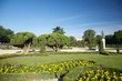 Photo: statue and trees in Madrid park statue and trees in Madrid park