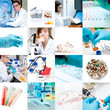 Research environment and workers, collage