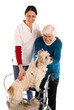 Oma mit Rollator und Hund 241112