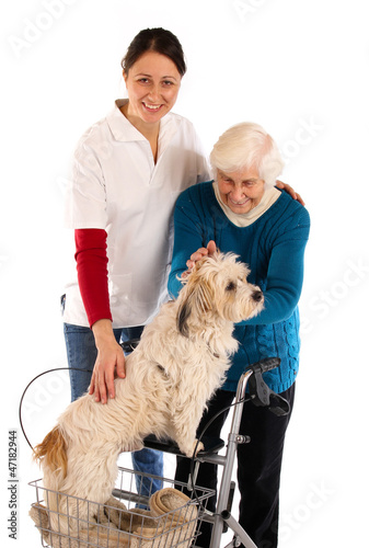 Photo: Oma mit Rollator und Hund 241112 Oma mit Rollator und Hund 241112