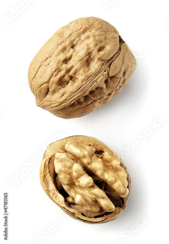 Photo: walnuts isolated walnuts isolated